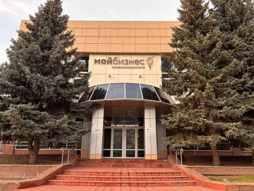 Татьяна Илюшникова: центры «Мой бизнес» оказали услуги 217 тыс. предпринимателям