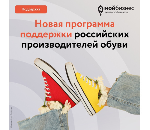 Новая программа поддержки российских производителей обуви