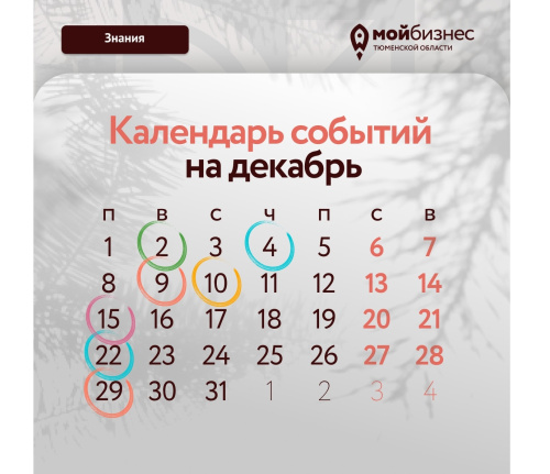 Дайджест мероприятий в декабре 2025 года