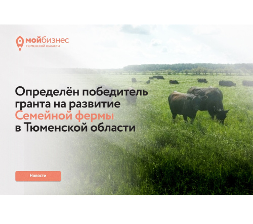 В Тюменской области определён победитель гранта на развитие Семейной фермы