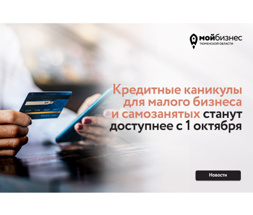 МСП, а также самозанятые смогут раз в 5 лет уходить на кредитные каникулы