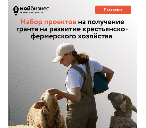 Открыт набор проектов на получение гранта на развитие КФХ