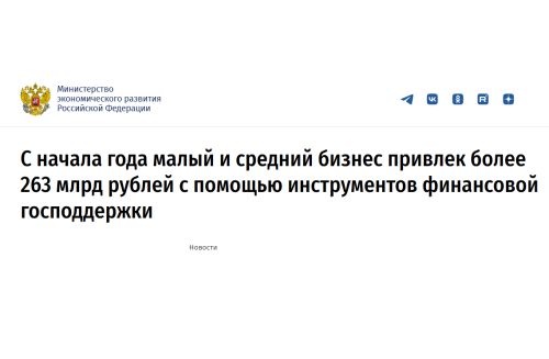 С начала года малый и средний бизнес привлек более 263 млрд рублей с помощью инструментов финансовой господдержки