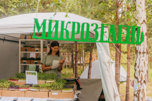 Когда бизнес растёт, как микрозелень: история успеха с поддержкой Центра «Мой бизнес»