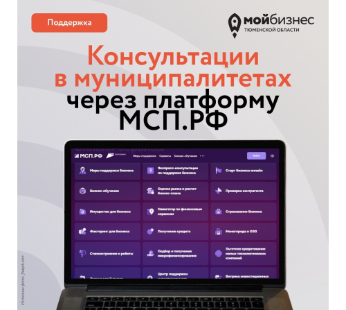 Консультации в муниципалитетах через платформу МСП.РФ